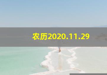 农历2020.11.29