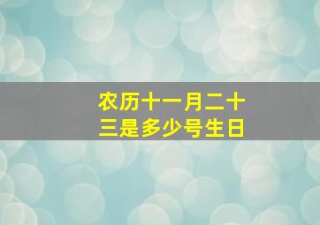 农历十一月二十三是多少号生日