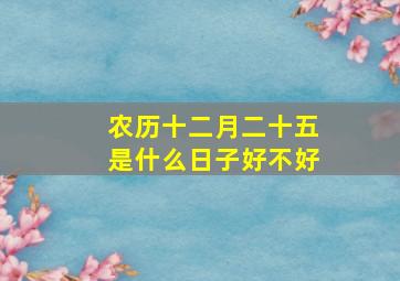 农历十二月二十五是什么日子好不好