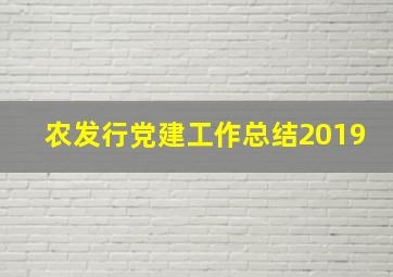 农发行党建工作总结2019