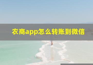 农商app怎么转账到微信