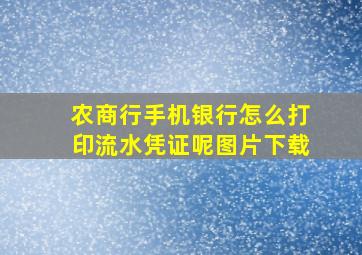 农商行手机银行怎么打印流水凭证呢图片下载