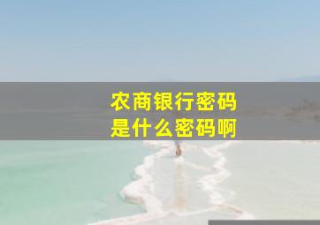 农商银行密码是什么密码啊