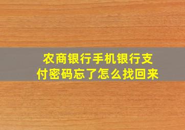 农商银行手机银行支付密码忘了怎么找回来