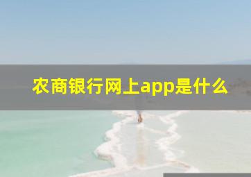 农商银行网上app是什么