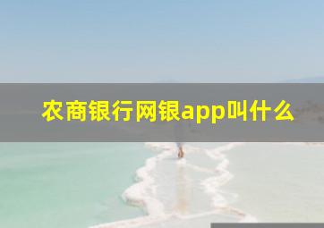 农商银行网银app叫什么