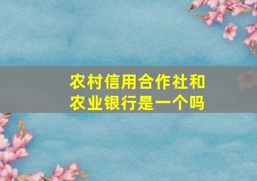 农村信用合作社和农业银行是一个吗