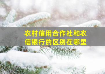 农村信用合作社和农信银行的区别在哪里