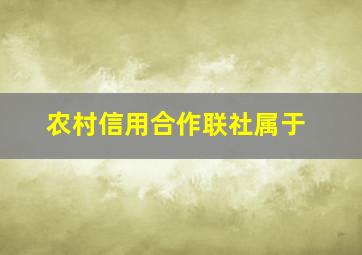 农村信用合作联社属于