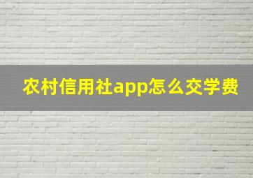 农村信用社app怎么交学费