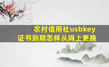 农村信用社usbkey证书到期怎样从网上更换