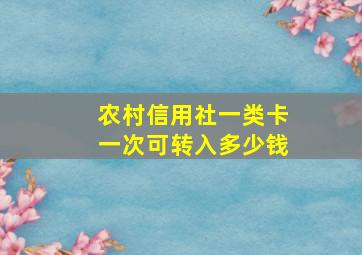 农村信用社一类卡一次可转入多少钱