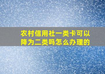 农村信用社一类卡可以降为二类吗怎么办理的