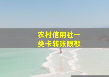 农村信用社一类卡转账限额