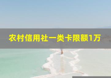 农村信用社一类卡限额1万