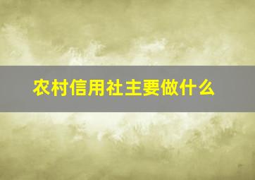 农村信用社主要做什么