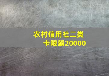 农村信用社二类卡限额20000