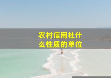 农村信用社什么性质的单位