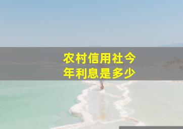 农村信用社今年利息是多少