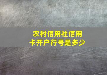 农村信用社信用卡开户行号是多少