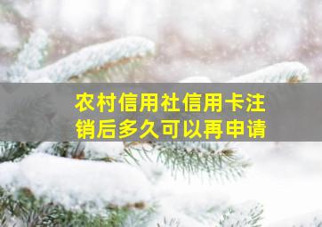 农村信用社信用卡注销后多久可以再申请