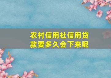 农村信用社信用贷款要多久会下来呢