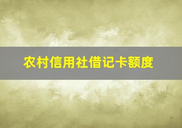 农村信用社借记卡额度