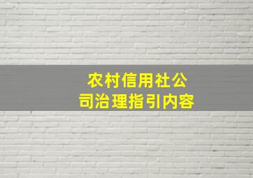 农村信用社公司治理指引内容