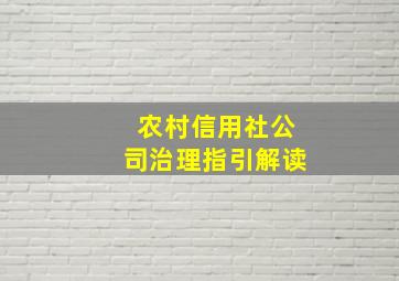 农村信用社公司治理指引解读