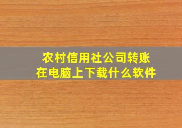 农村信用社公司转账在电脑上下载什么软件