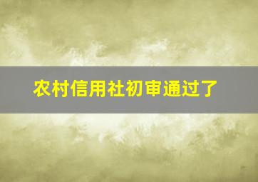 农村信用社初审通过了