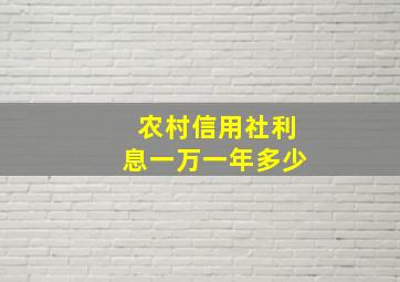 农村信用社利息一万一年多少