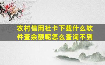 农村信用社卡下载什么软件查余额呢怎么查询不到