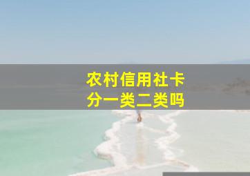 农村信用社卡分一类二类吗