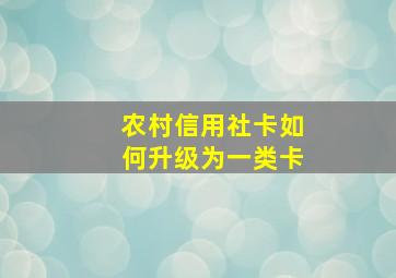 农村信用社卡如何升级为一类卡