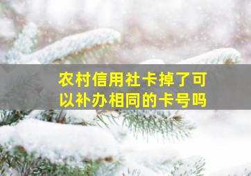 农村信用社卡掉了可以补办相同的卡号吗