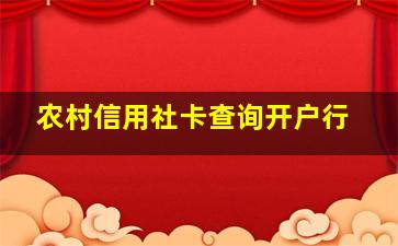 农村信用社卡查询开户行