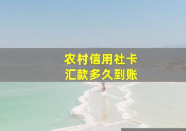 农村信用社卡汇款多久到账