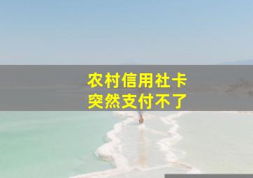 农村信用社卡突然支付不了