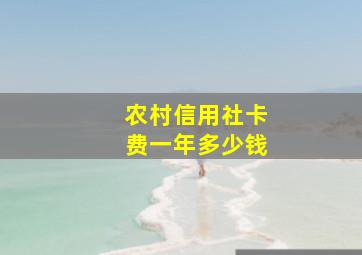 农村信用社卡费一年多少钱