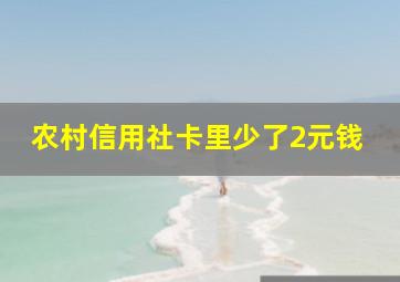 农村信用社卡里少了2元钱