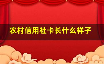 农村信用社卡长什么样子