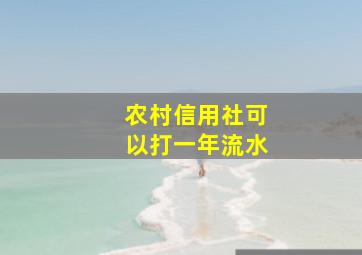 农村信用社可以打一年流水