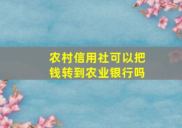 农村信用社可以把钱转到农业银行吗