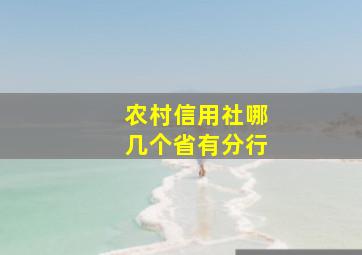 农村信用社哪几个省有分行