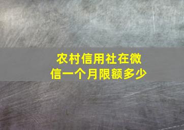 农村信用社在微信一个月限额多少