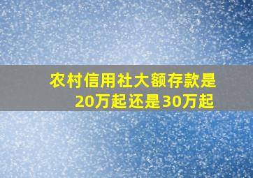 农村信用社大额存款是20万起还是30万起