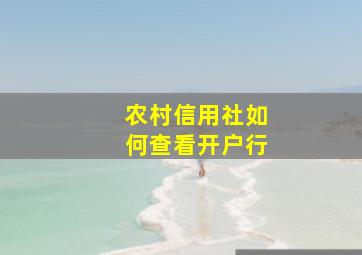 农村信用社如何查看开户行