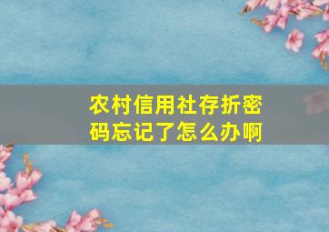 农村信用社存折密码忘记了怎么办啊