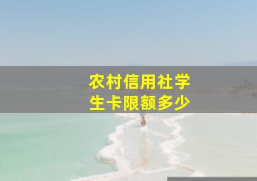 农村信用社学生卡限额多少